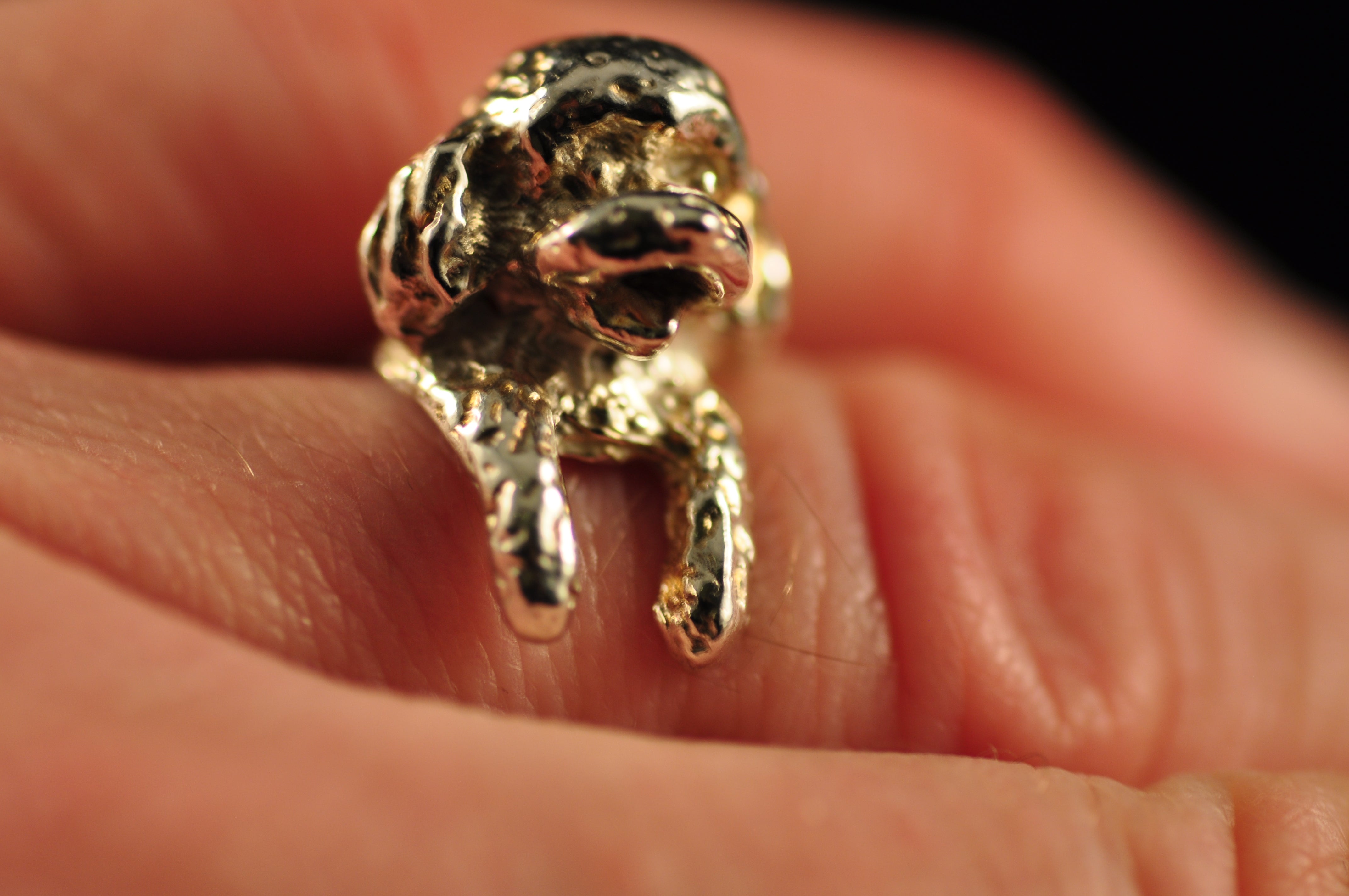 Cocker hotsell spaniel ring