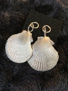 Casted hanging scollop as earrings in silver